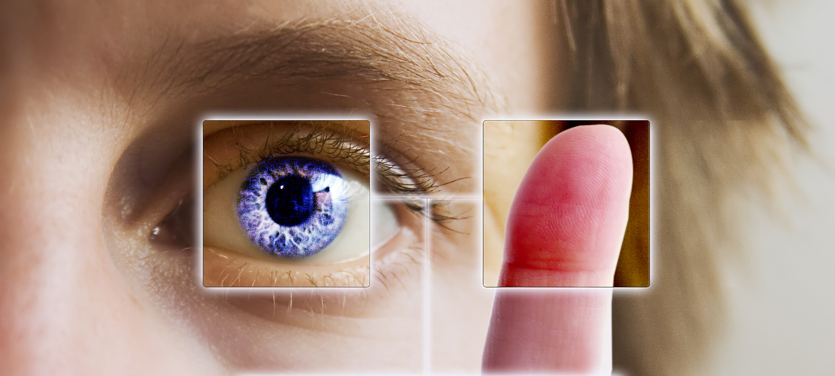 生物辨識技術多元，「指紋辨識」「虹膜辨識」是越來越普遍的科技應用。